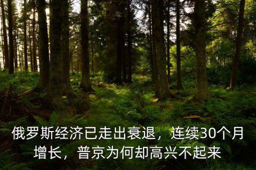 俄羅斯經(jīng)濟(jì)已走出衰退，連續(xù)30個月增長，普京為何卻高興不起來