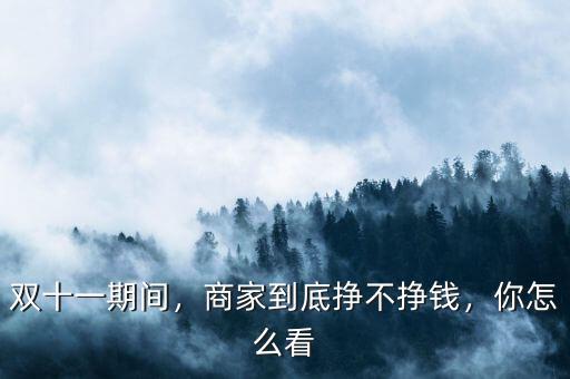 雙十一期間，商家到底掙不掙錢，你怎么看