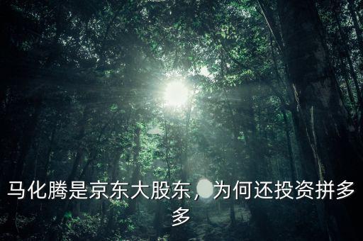 馬化騰是京東大股東，為何還投資拼多多