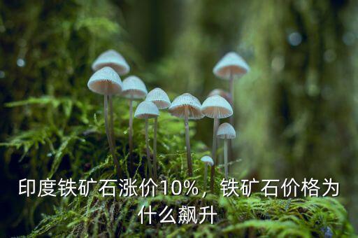 印度鐵礦石漲價(jià)10%，鐵礦石價(jià)格為什么飆升