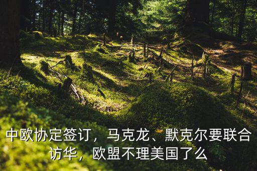 中歐協(xié)定簽訂，馬克龍、默克爾要聯(lián)合訪華，歐盟不理美國了么