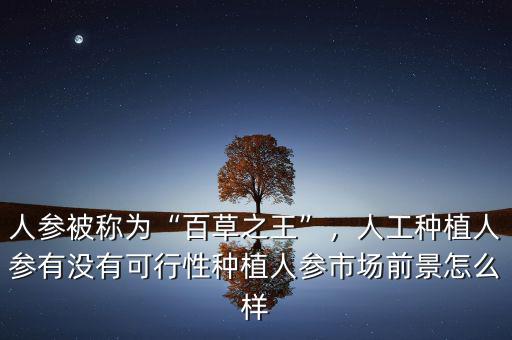 人參被稱(chēng)為“百草之王”，人工種植人參有沒(méi)有可行性種植人參市場(chǎng)前景怎么樣