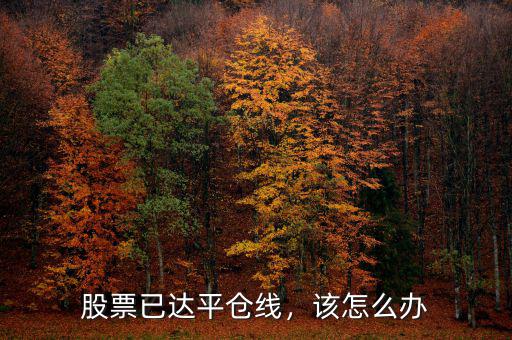 股票已達(dá)平倉線，該怎么辦