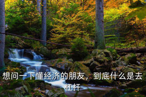 想問一下懂經濟的朋友，到底什么是去杠桿