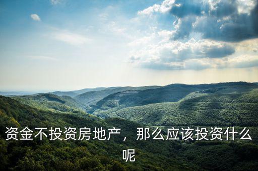 資金不投資房地產，那么應該投資什么呢