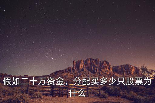 假如二十萬資金，分配買多少只股票為什么