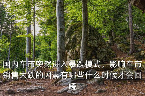國內(nèi)車市突然進(jìn)入暴跌模式，影響車市銷售大跌的因素有哪些什么時候才會回暖