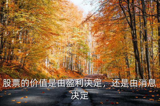 股票的價值是由盈利決定，還是由消息決定