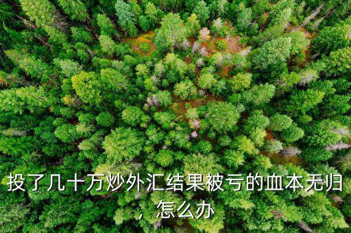 投了幾十萬炒外匯結(jié)果被虧的血本無歸，怎么辦
