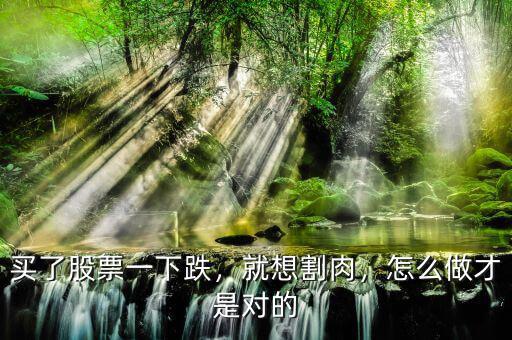 買了股票一下跌，就想割肉，怎么做才是對的