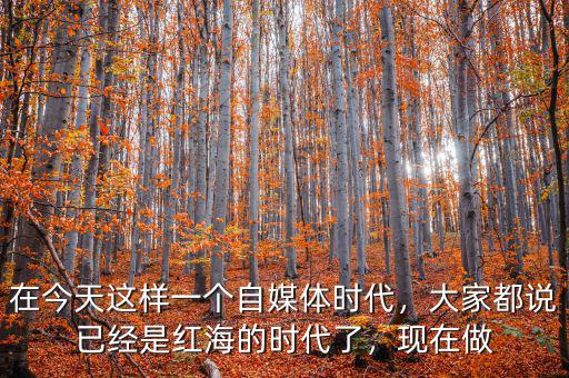 在今天這樣一個自媒體時代，大家都說已經(jīng)是紅海的時代了，現(xiàn)在做