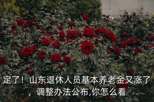 定了！山東退休人員基本養(yǎng)老金又漲了，調(diào)整辦法公布,你怎么看