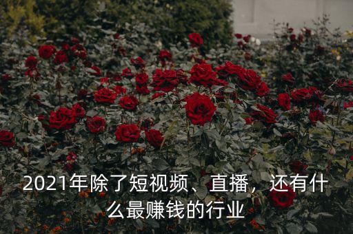 2021年除了短視頻、直播，還有什么最賺錢的行業(yè)