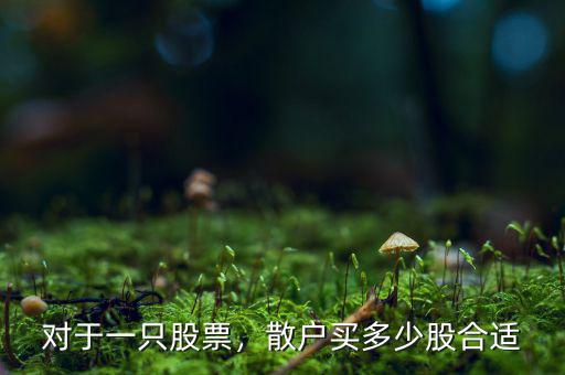 對(duì)于一只股票，散戶買多少股合適