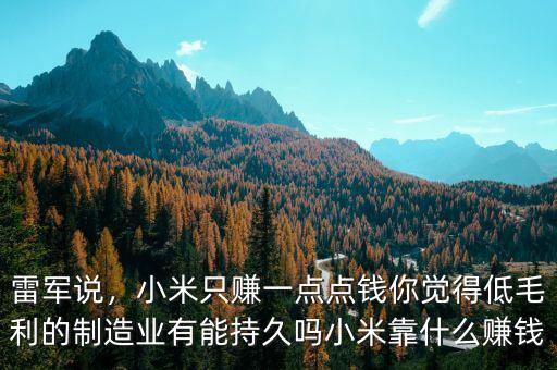 雷軍說，小米只賺一點點錢你覺得低毛利的制造業(yè)有能持久嗎小米靠什么賺錢