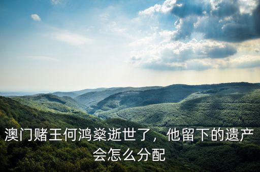 澳門賭王何鴻燊逝世了，他留下的遺產(chǎn)會(huì)怎么分配