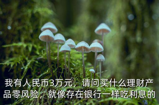 我有人民幣3萬(wàn)元，請(qǐng)問(wèn)買什么理財(cái)產(chǎn)品零風(fēng)險(xiǎn)，就像存在銀行一樣吃利息的