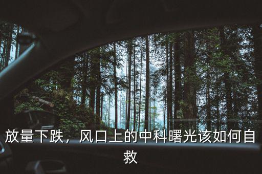 放量下跌，風(fēng)口上的中科曙光該如何自救
