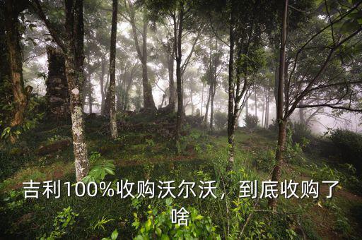 吉利100%收購沃爾沃，到底收購了啥