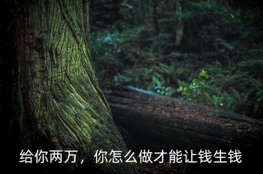 給你兩萬，你怎么做才能讓錢生錢