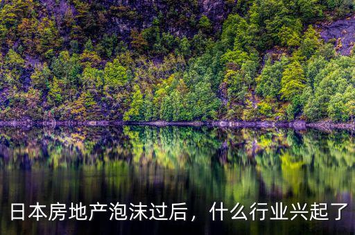 日本房地產(chǎn)泡沫過后，什么行業(yè)興起了