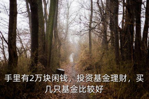 手里有2萬塊閑錢，投資基金理財(cái)，買幾只基金比較好