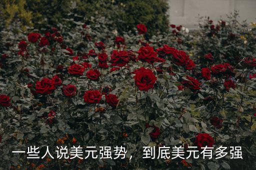一些人說美元強(qiáng)勢(shì)，到底美元有多強(qiáng)