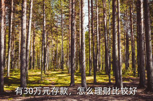 有30萬(wàn)元存款，怎么理財(cái)比較好