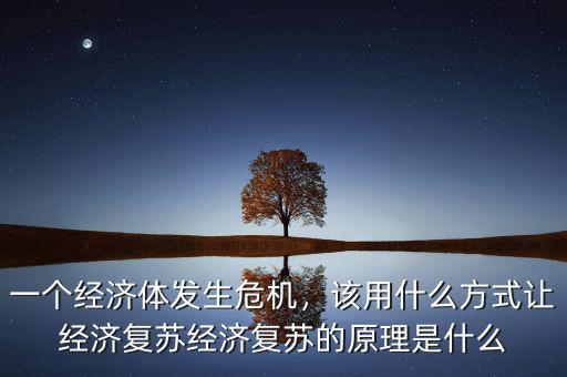 一個經(jīng)濟體發(fā)生危機，該用什么方式讓經(jīng)濟復(fù)蘇經(jīng)濟復(fù)蘇的原理是什么