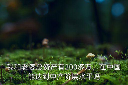 我和老婆總資產(chǎn)有200多萬(wàn)，在中國(guó)能達(dá)到中產(chǎn)階層水平嗎