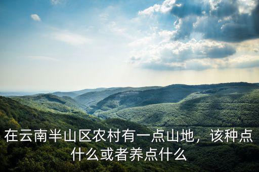 在云南半山區(qū)農(nóng)村有一點(diǎn)山地，該種點(diǎn)什么或者養(yǎng)點(diǎn)什么