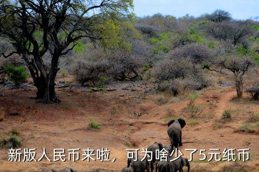 新版人民幣來啦，可為啥少了5元紙幣