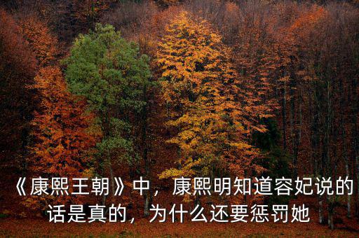 《康熙王朝》中，康熙明知道容妃說的話是真的，為什么還要懲罰她