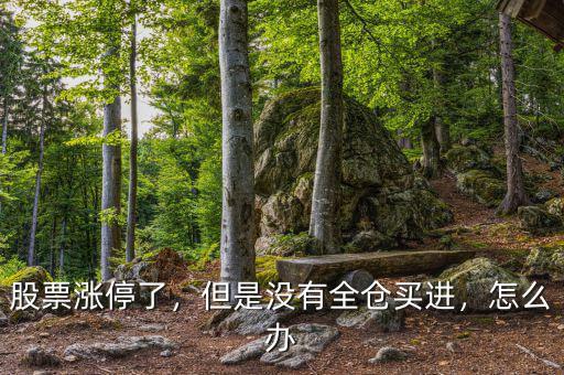股票漲停了，但是沒有全倉買進，怎么辦