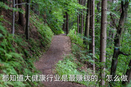 都知道大健康行業(yè)是最賺錢的，怎么做