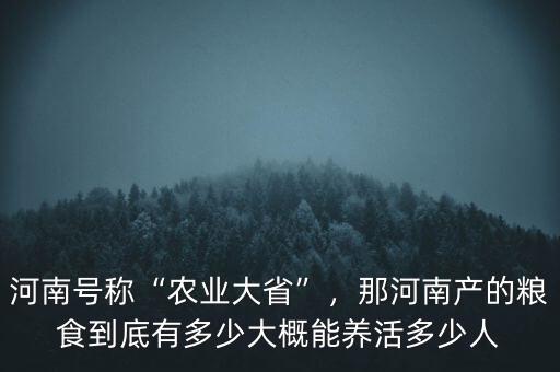 河南號(hào)稱“農(nóng)業(yè)大省”，那河南產(chǎn)的糧食到底有多少大概能養(yǎng)活多少人