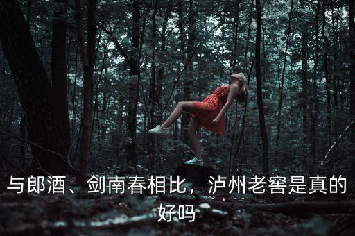 與郎酒、劍南春相比，瀘州老窖是真的好嗎