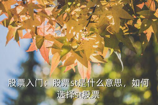 股票入門：股票st是什么意思，如何選擇st股票