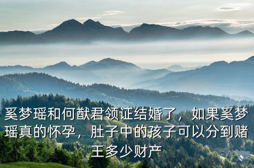奚夢(mèng)瑤和何猷君領(lǐng)證結(jié)婚了，如果奚夢(mèng)瑤真的懷孕，肚子中的孩子可以分到賭王多少財(cái)產(chǎn)