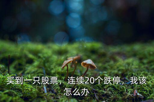 買到一只股票，連續(xù)20個(gè)跌停，我該怎么辦