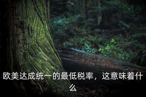 歐美達成統(tǒng)一的最低稅率，這意味著什么