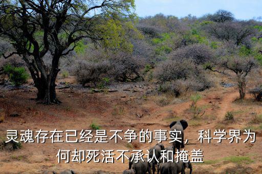 靈魂存在已經(jīng)是不爭的事實(shí)，科學(xué)界為何卻死活不承認(rèn)和掩蓋