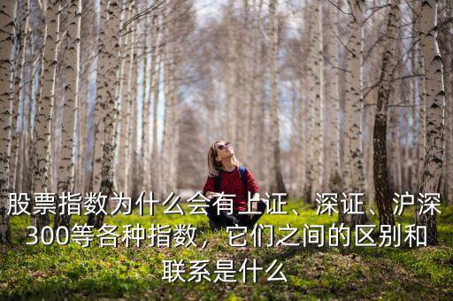 股票指數(shù)為什么會(huì)有上證、深證、滬深300等各種指數(shù)，它們之間的區(qū)別和聯(lián)系是什么