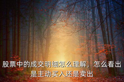 股票中的成交明細怎么理解，怎么看出是主動買入還是賣出