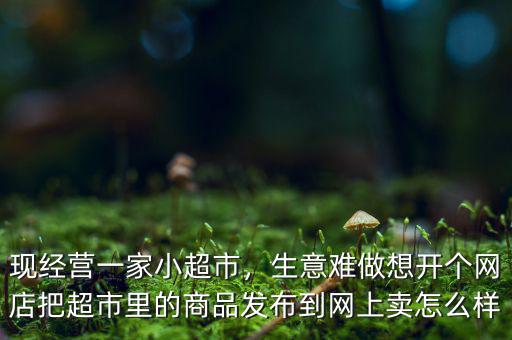 現(xiàn)經(jīng)營一家小超市，生意難做想開個網(wǎng)店把超市里的商品發(fā)布到網(wǎng)上賣怎么樣