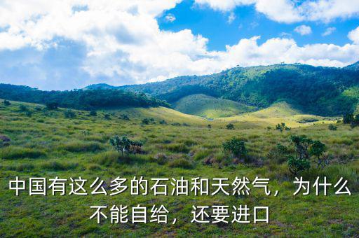 中國(guó)有這么多的石油和天然氣，為什么不能自給，還要進(jìn)口