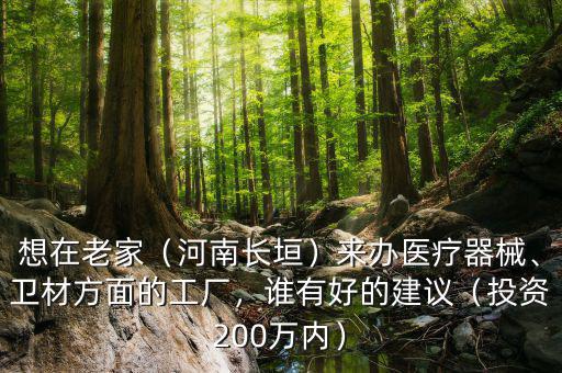 想在老家（河南長垣）來辦醫(yī)療器械、衛(wèi)材方面的工廠，誰有好的建議（投資200萬內(nèi)）