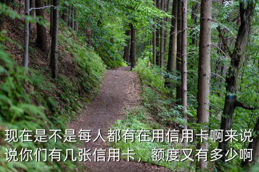 現(xiàn)在是不是每人都有在用信用卡啊來說說你們有幾張信用卡，額度又有多少啊