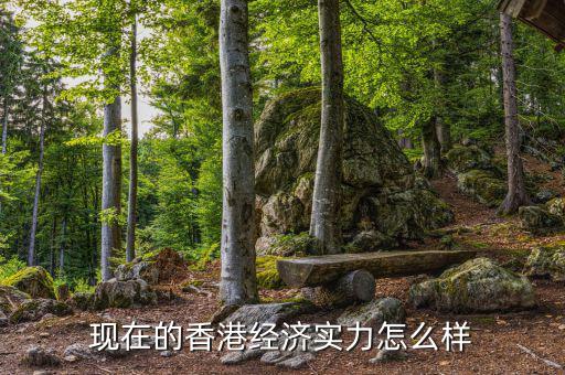 現(xiàn)在的香港經(jīng)濟(jì)實力怎么樣