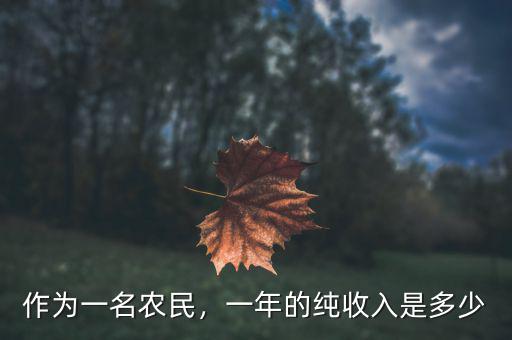 作為一名農(nóng)民，一年的純收入是多少